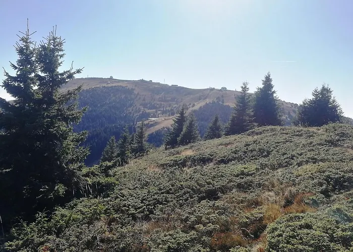 Apartment Biki Kopaonik